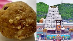 Tirupati Laddus